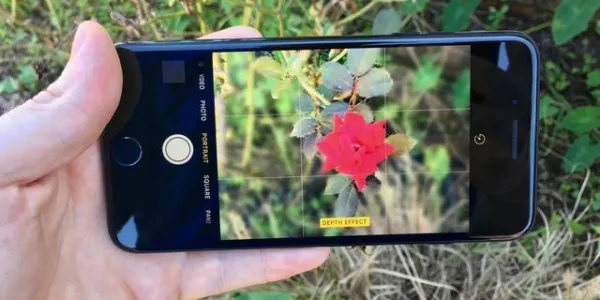 苹果2