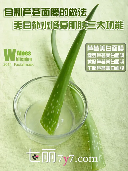 自制芦荟面膜的做法 美白补水DIY面膜