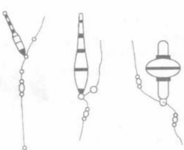 不同的浮漂应该如何绑到鱼线上？如何避免抛竿炸线