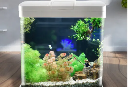 小型水族箱什么牌子的性价比高？推荐几款小型的水族箱