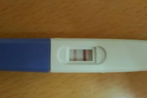 验孕棒的结果怎么看？验孕棒都有哪些情况？