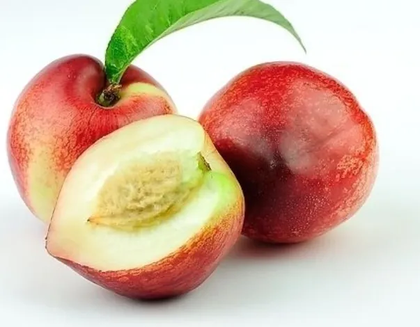 桃子核里面的桃仁是中药吗？新鲜桃仁可以直接食用吗？