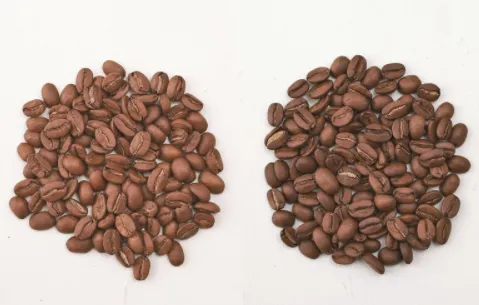 咖啡豆烘焙程度区别？泡咖啡放什么糖最好喝？