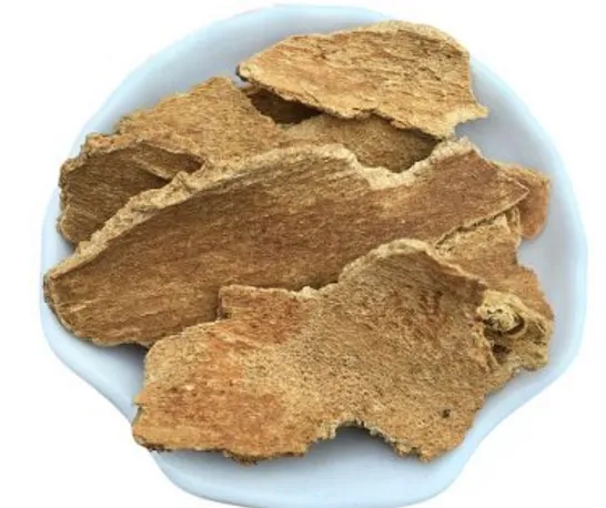香椿树皮有什么用途？晒干的香椿皮可以煮肉吗