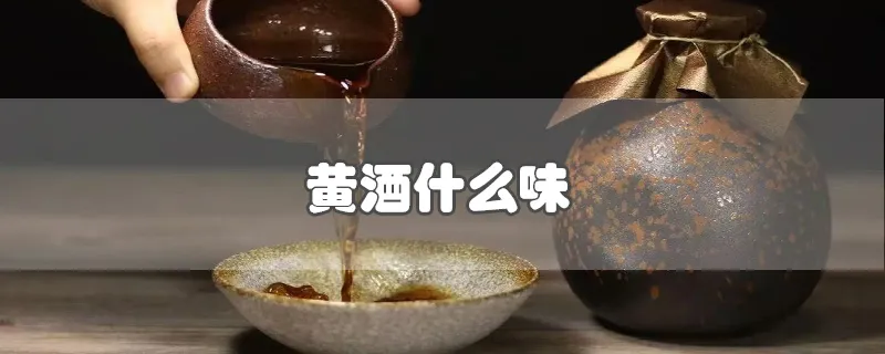 黄酒什么味