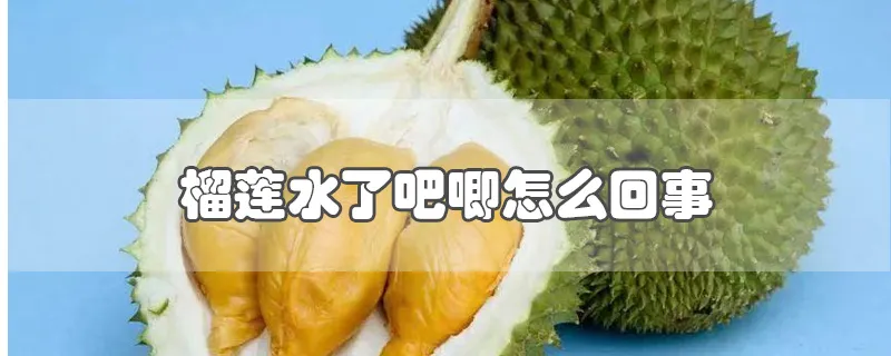 榴莲水了吧唧怎么回事