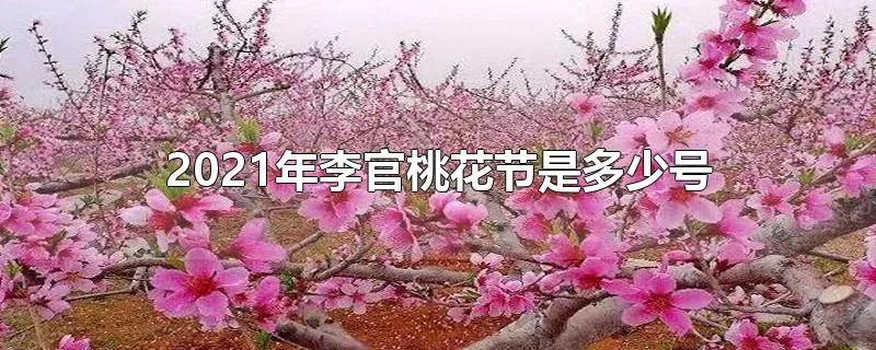 2021年李官桃花节是多少号