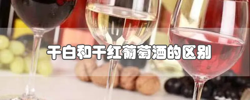 干白和干红葡萄酒的区别