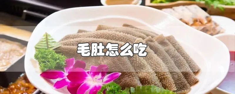 毛肚怎么吃