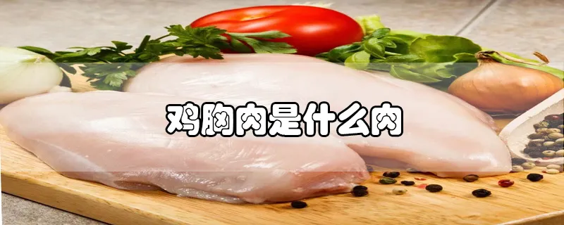 鸡胸肉是什么肉