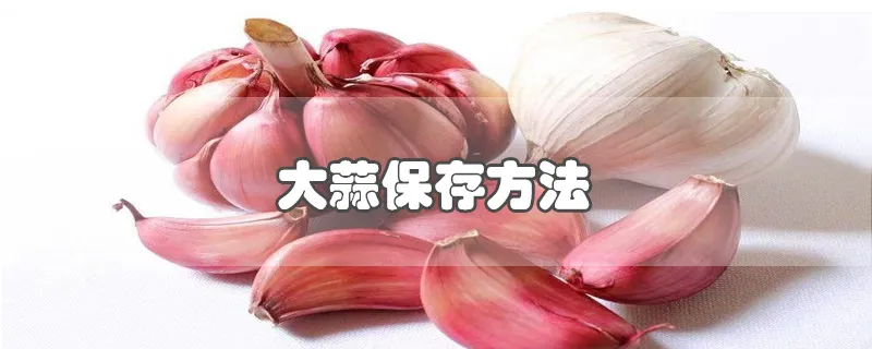 大蒜保存方法