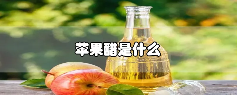 苹果醋是什么