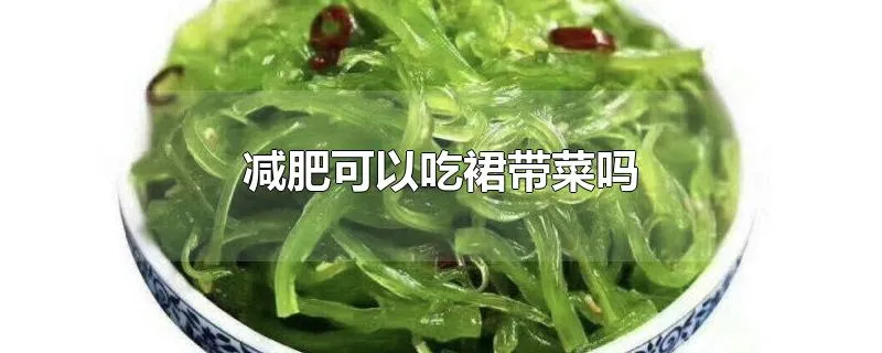 减肥可以吃裙带菜吗