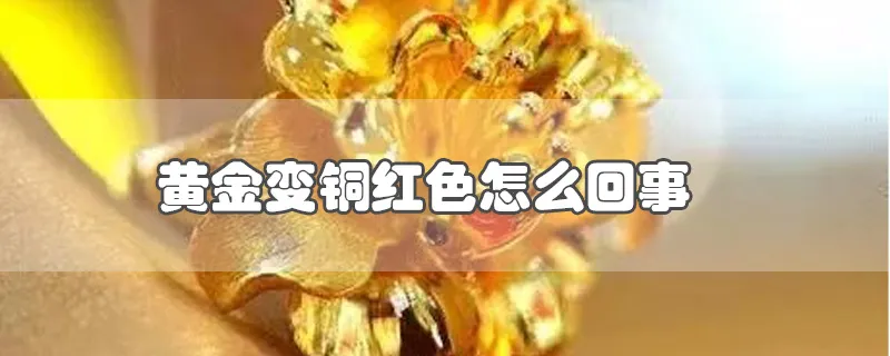 黄金变铜红色怎么回事