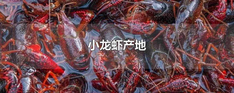 小龙虾产地