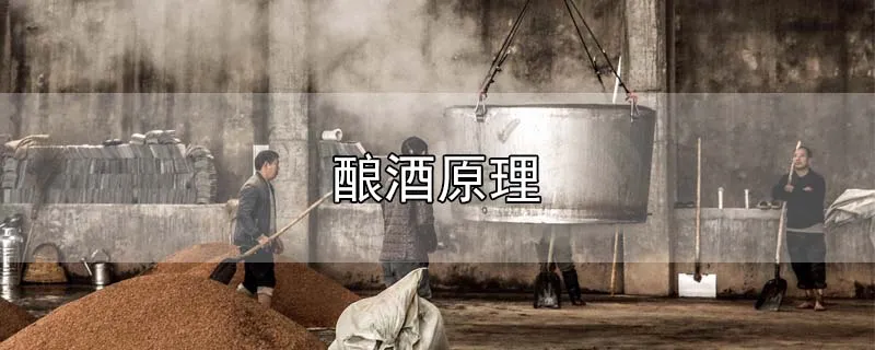 酿酒原理