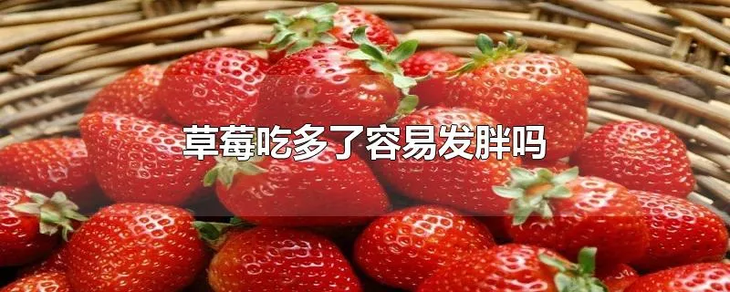 草莓吃多了容易发胖吗