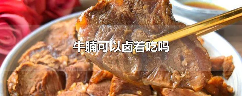 牛腩可以卤着吃吗