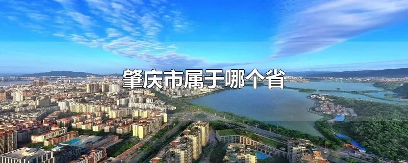 肇庆市属于哪个省