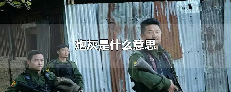 炮灰是什么意思