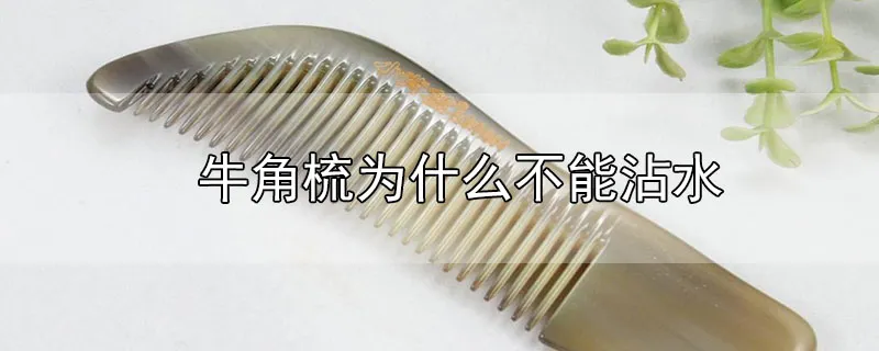 牛角梳为什么不能沾水