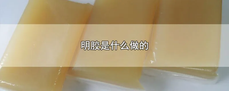 明胶是什么做的