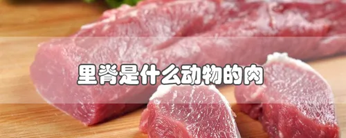 里脊是什么动物的肉