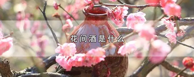 花间酒是什么