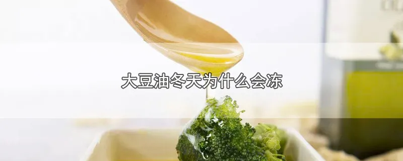 大豆油冬天为什么会冻