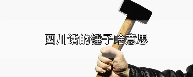 四川话的锤子啥意思