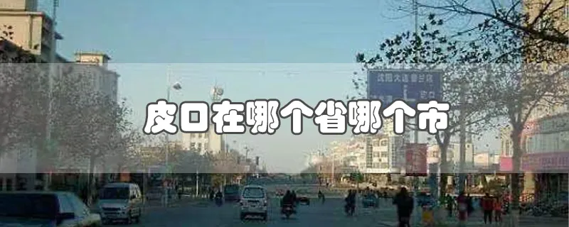 皮口在哪个省哪个市