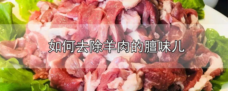 如何去除羊肉的膻味儿