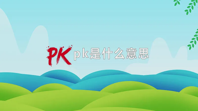 pk是什么意思