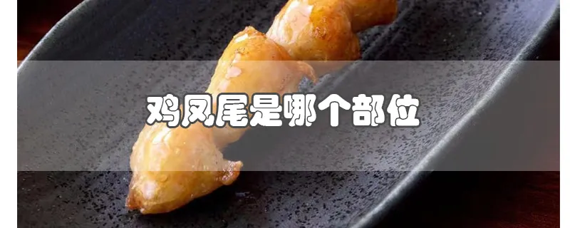 鸡凤尾是哪个部位