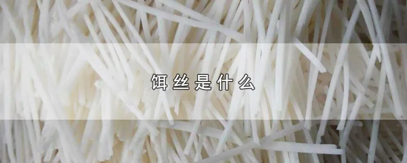 饵丝是什么