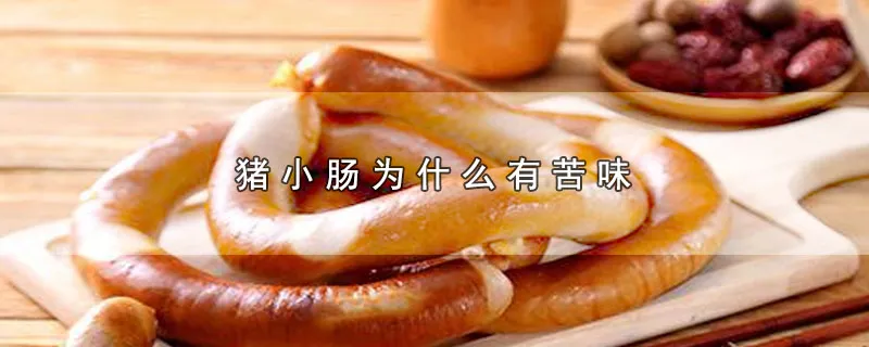 猪小肠为什么有苦味