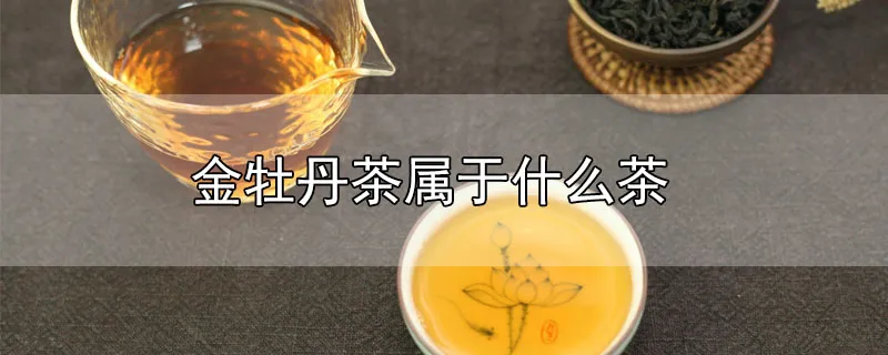 金牡丹茶属于什么茶
