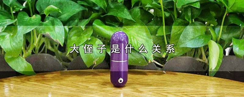 大侄子是什么关系