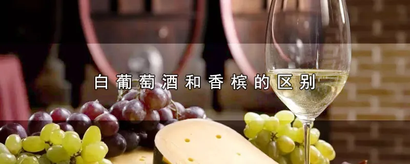 白葡萄酒和香槟的区别