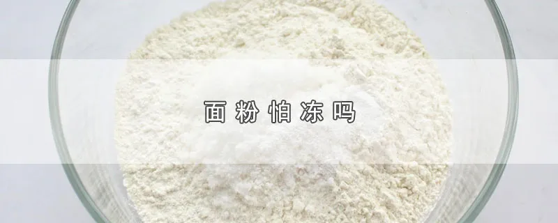 面粉怕冻吗