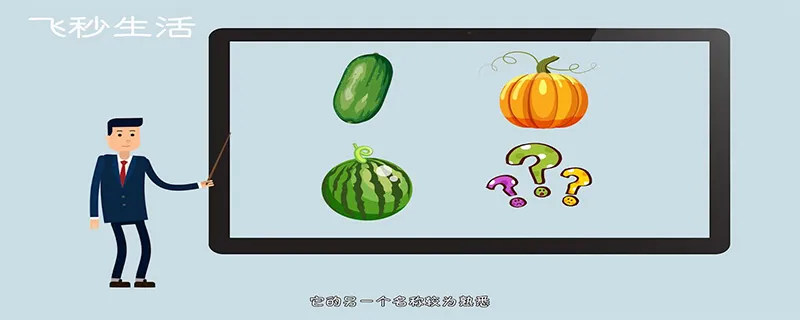 为什么没有北瓜