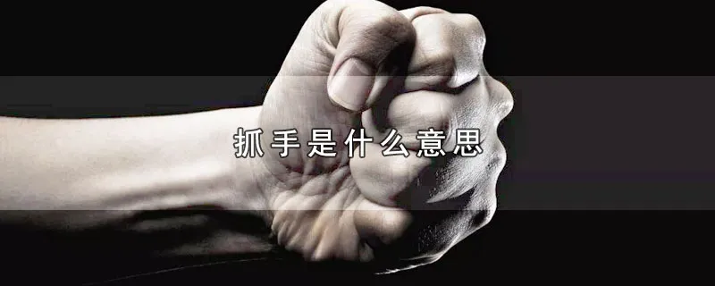 抓手是什么意思