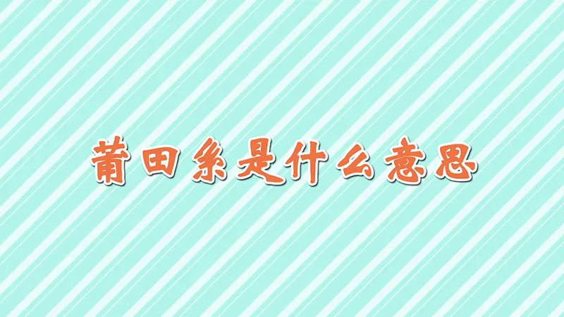 莆田系是什么意思