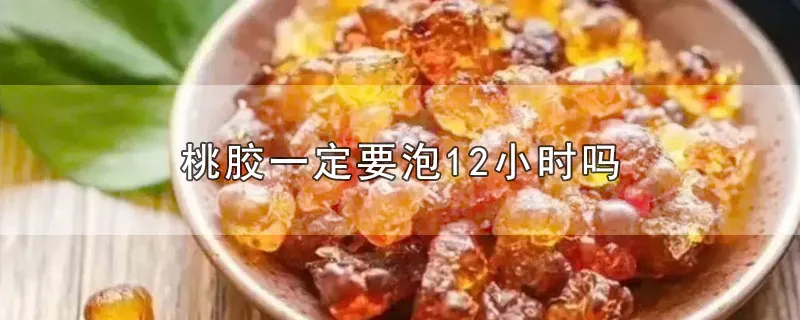 桃胶一定要泡12小时吗