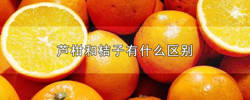 芦柑和桔子有什么区别