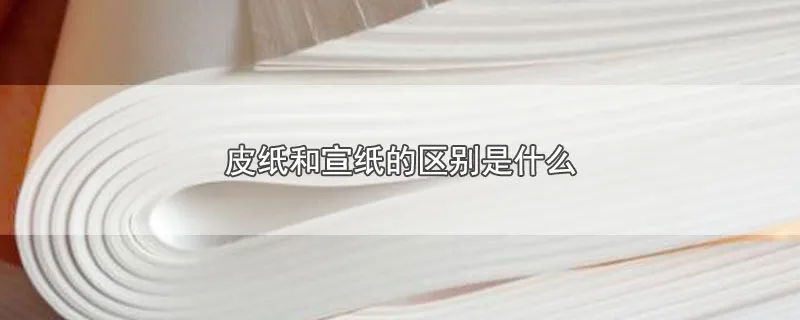 皮纸和宣纸的区别是什么