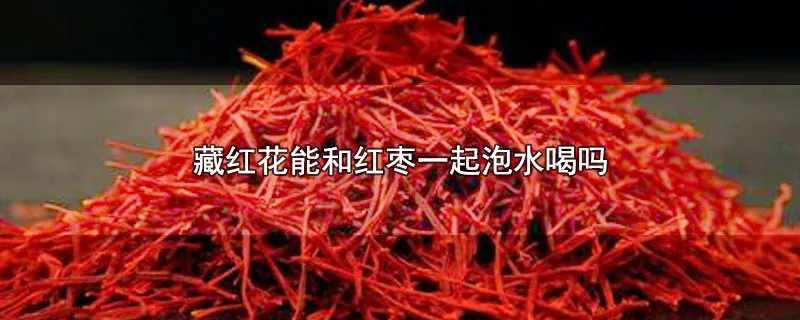 藏红花能和红枣一起泡水喝吗