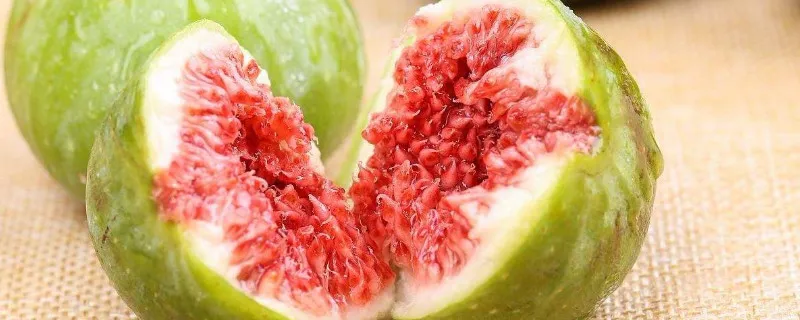 青无花果怎么吃