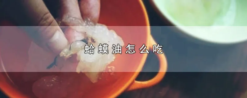 蛤蟆油怎么吃