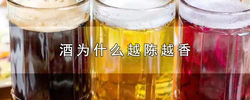 酒为什么越陈越香